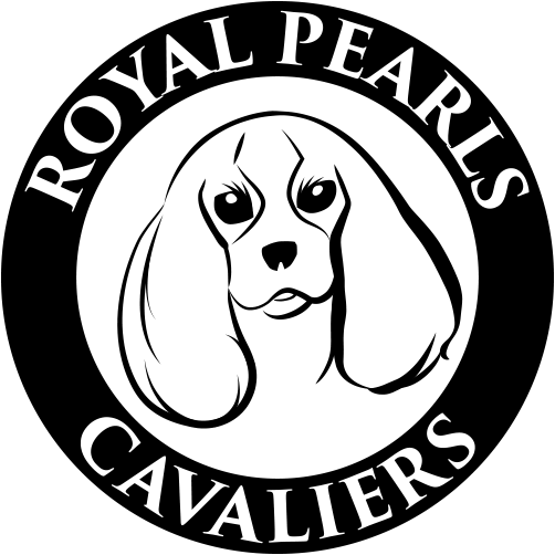 Royal Cavaliers